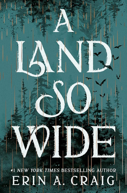 A Land So Wide: A Novel cover image