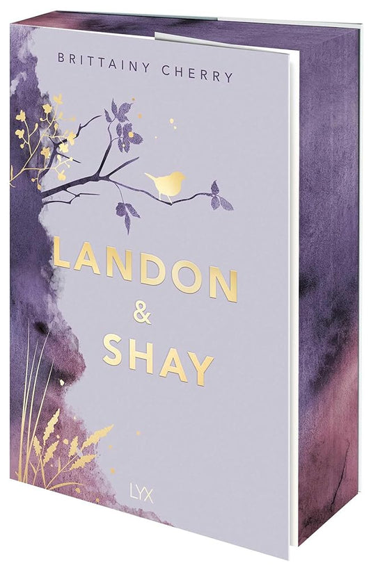 Landon & Shay (Chances) cover image