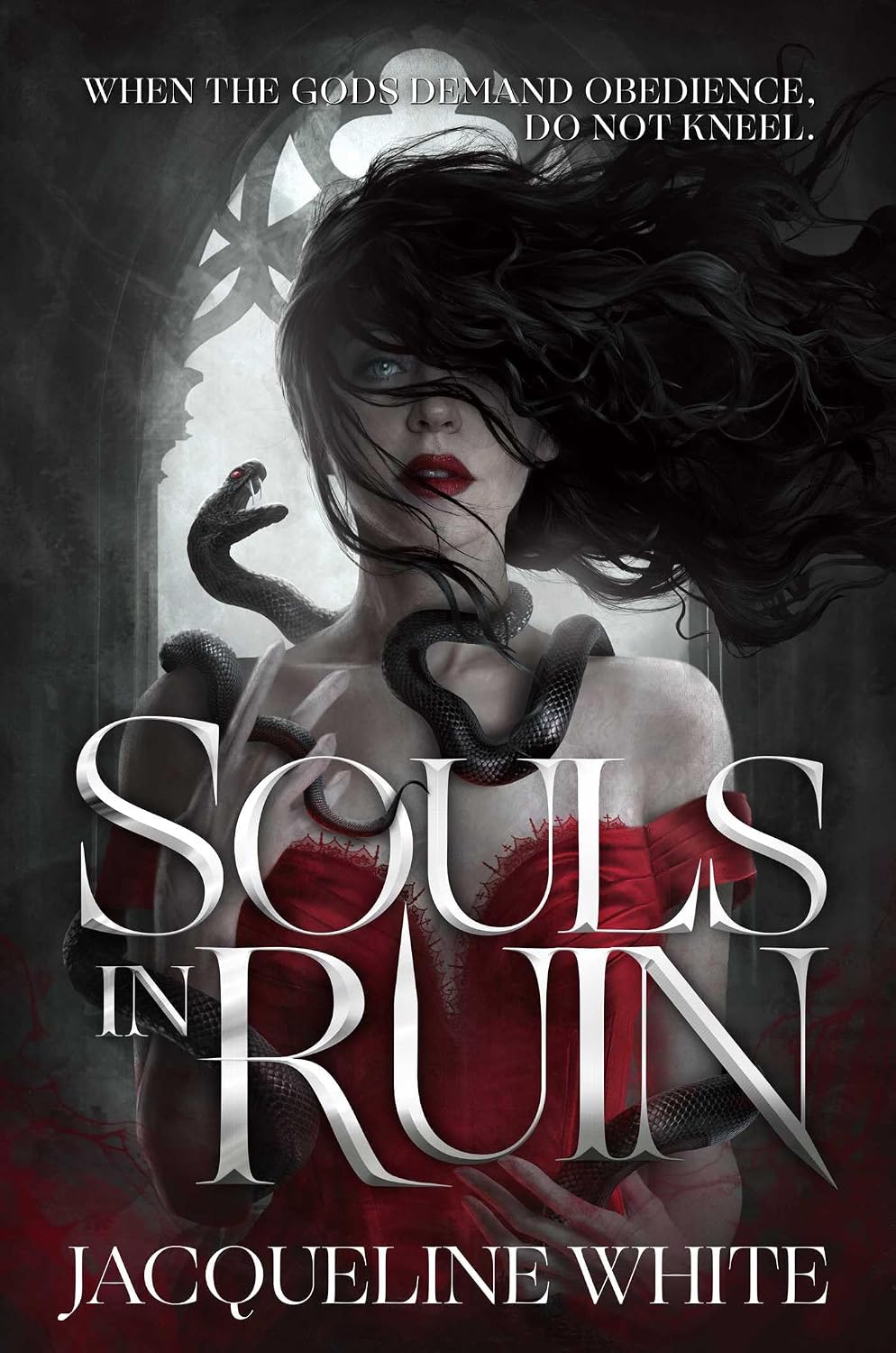 Souls in Ruin (PRE ORDER)